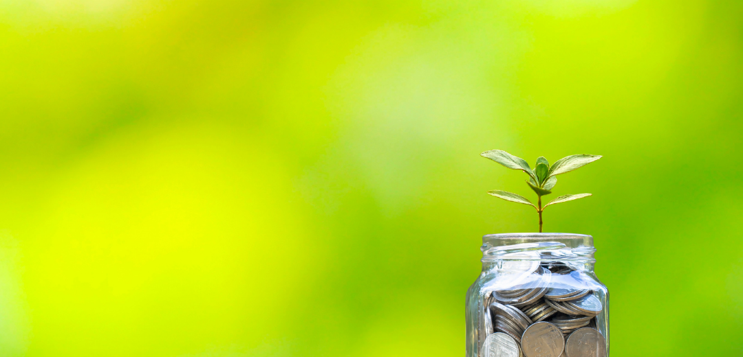 Why Is Micro-Investing Best For New Investors?